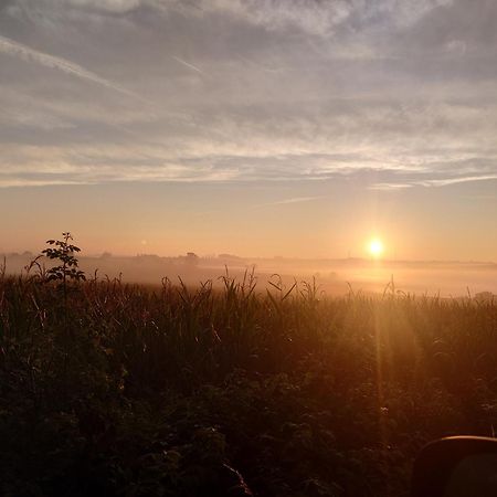Ferienwohnung Brunow "In Der Natur Zuhause" Neundorf  Dış mekan fotoğraf