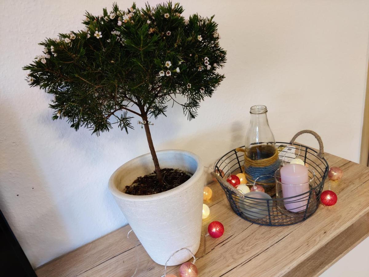 Ferienwohnung Brunow "In Der Natur Zuhause" Neundorf  Dış mekan fotoğraf