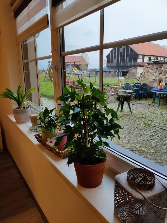 Ferienwohnung Brunow "In Der Natur Zuhause" Neundorf  Dış mekan fotoğraf