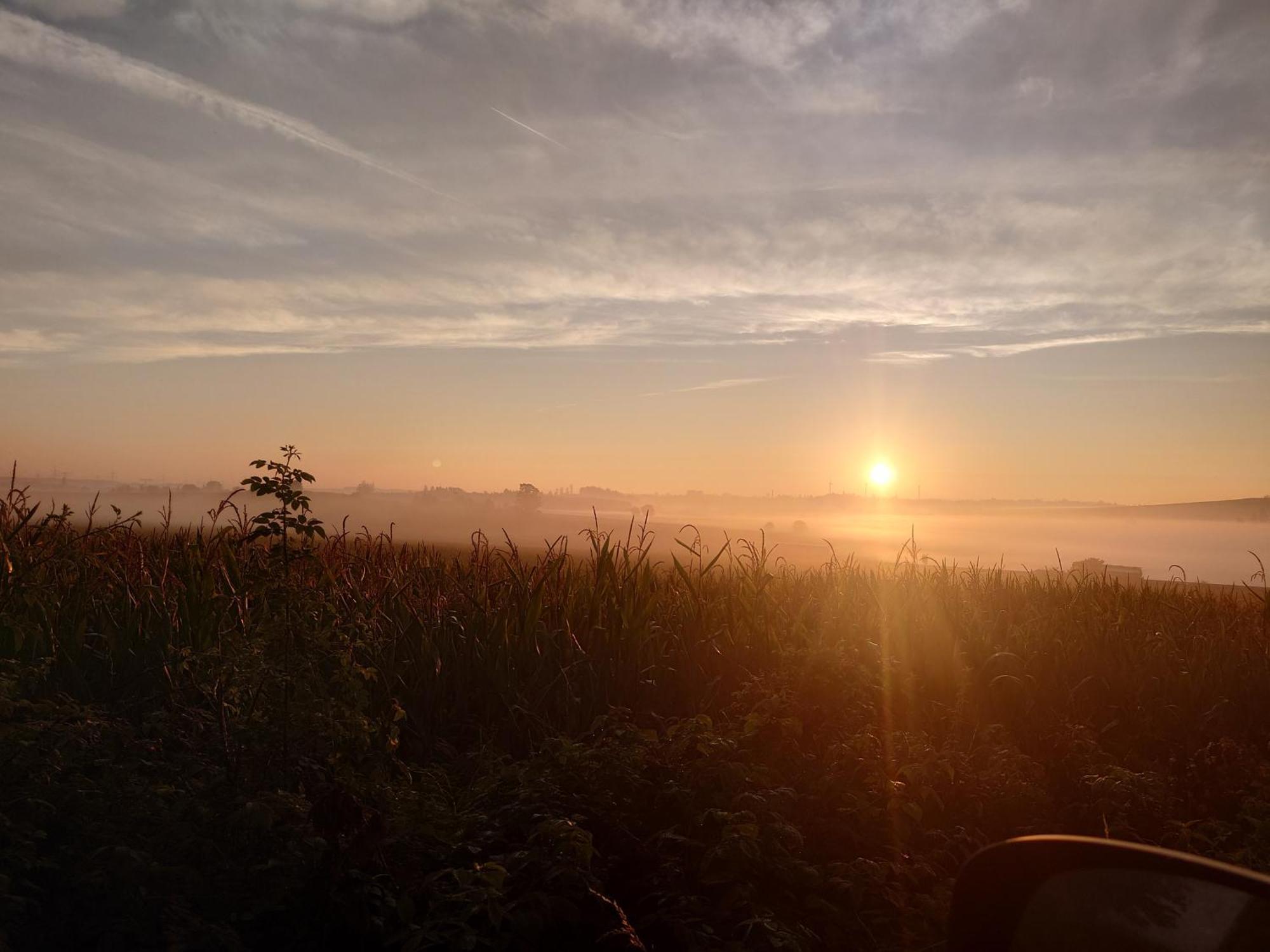 Ferienwohnung Brunow "In Der Natur Zuhause" Neundorf  Dış mekan fotoğraf