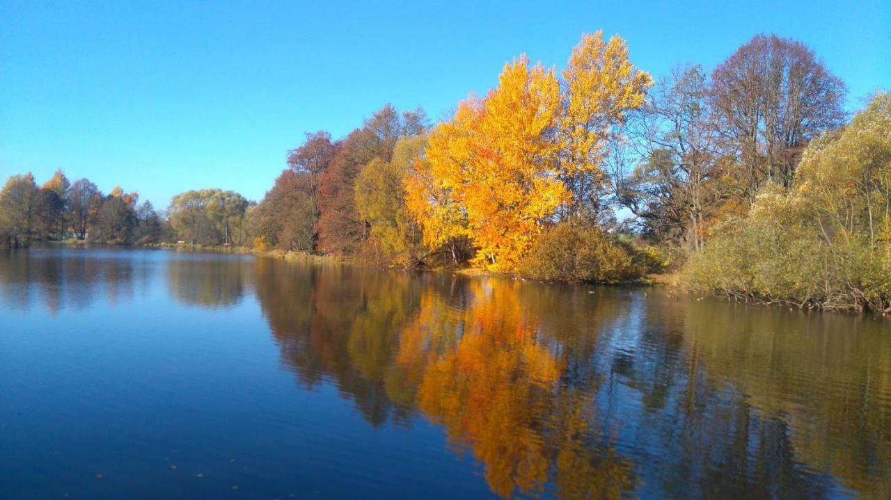 Ferienwohnung Brunow "In Der Natur Zuhause" Neundorf  Dış mekan fotoğraf