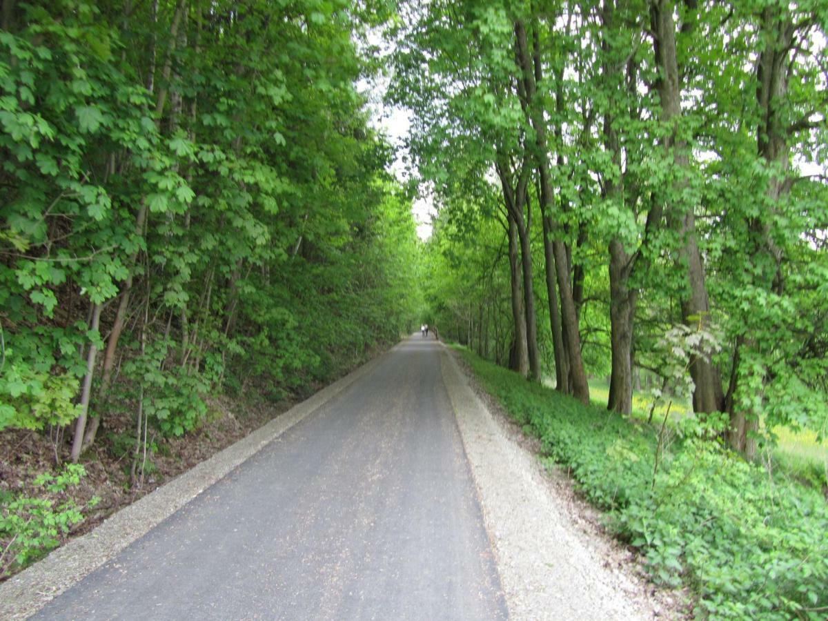 Ferienwohnung Brunow "In Der Natur Zuhause" Neundorf  Dış mekan fotoğraf
